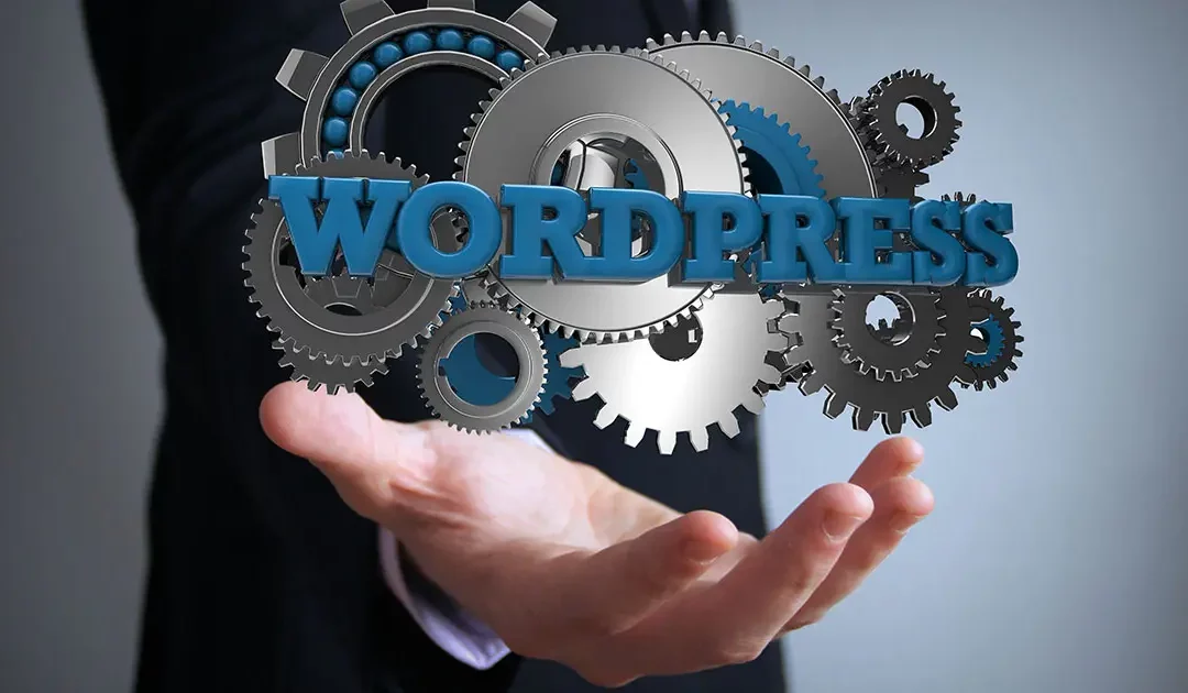 Expert spécialiste WordPress pour mon site web