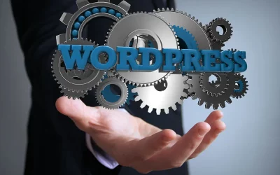 Expert spécialiste WordPress pour mon site web