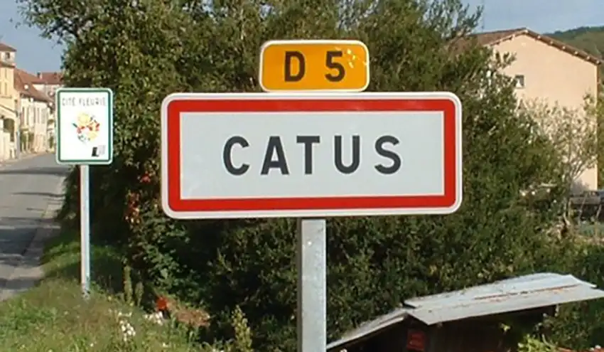 Création site internet Catus Lot 46 | Agence web 46 Catus